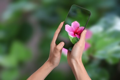 Image of Plant identifier application. Woman taking photo of flower outdoors, closeup