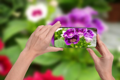 Image of Plant identifier application. Woman taking photo of flowers outdoors, closeup