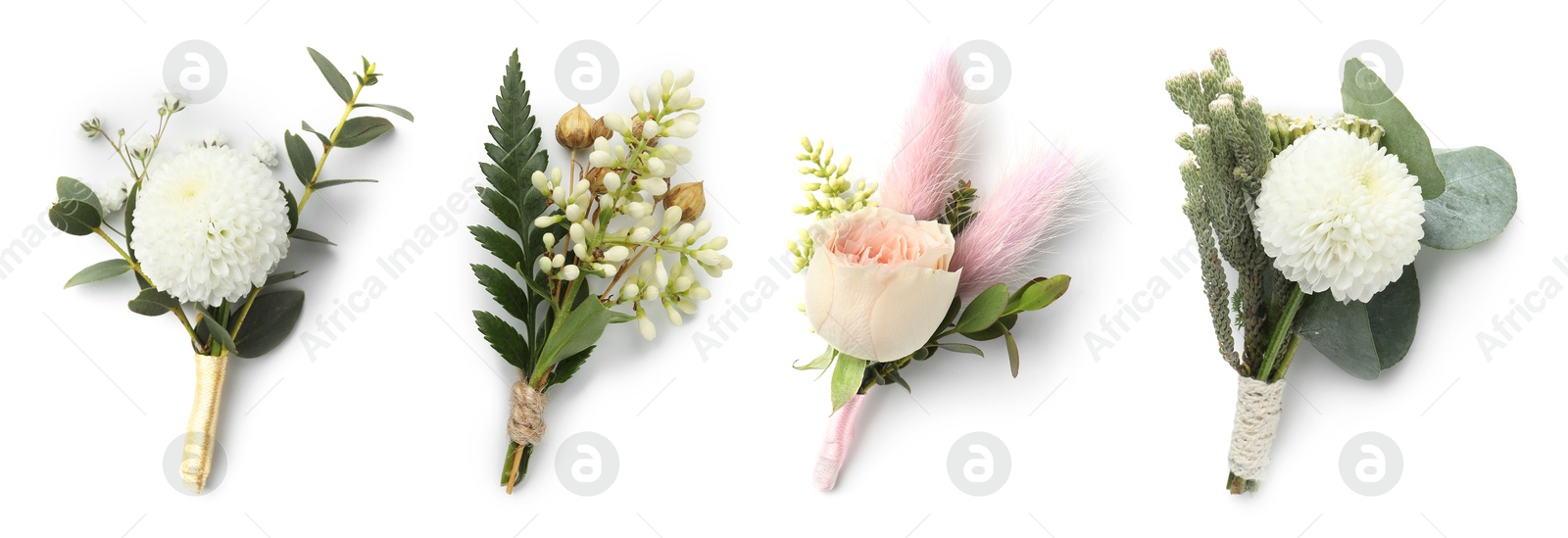 Image of Different boutonnieres isolated on white, set. Wedding accessory