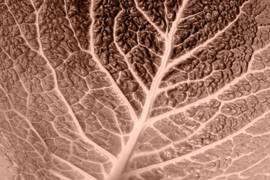 Image of Leaf of plant in mocha mousse color, closeup. Trendy color of 2025 year