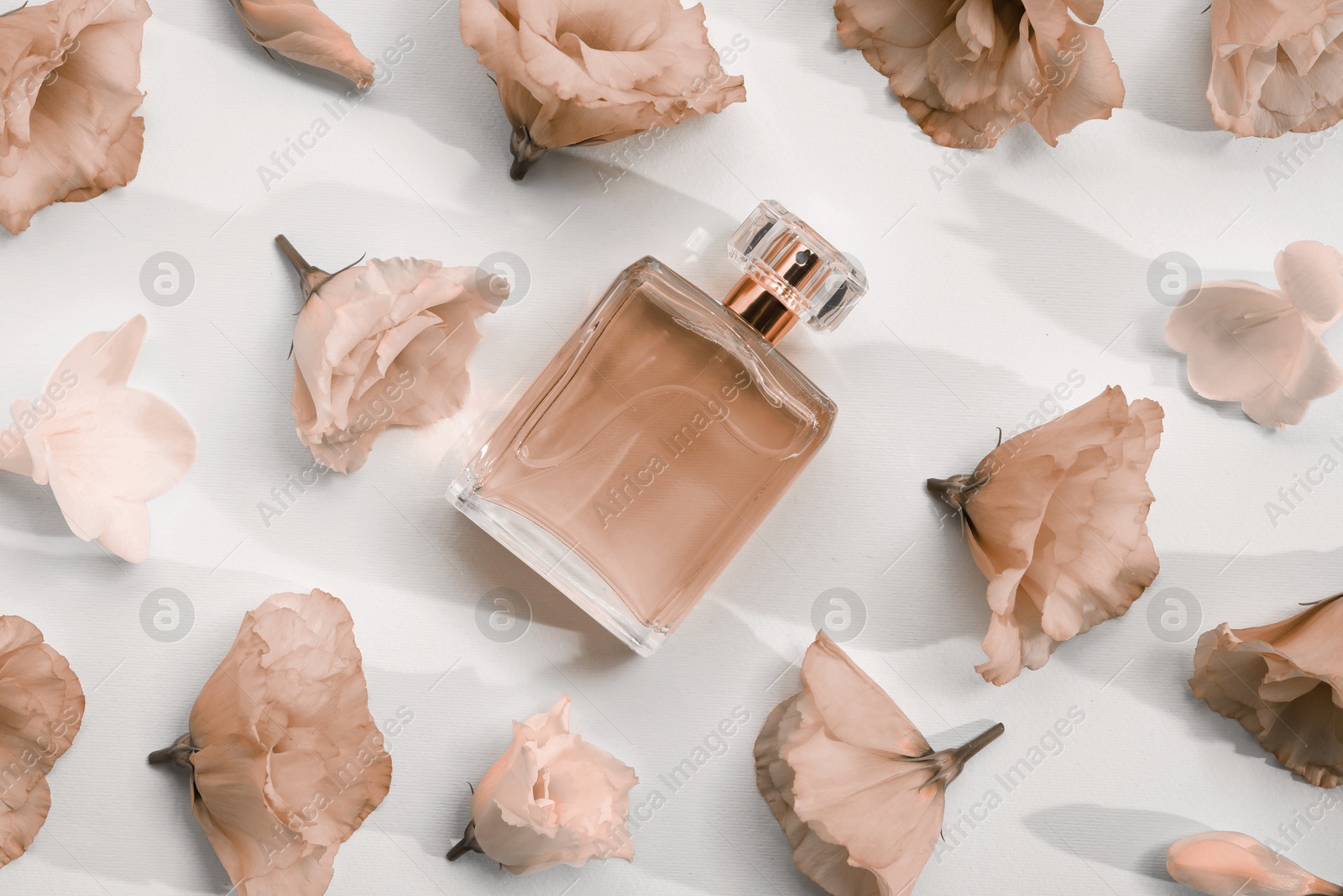 Image of Bottle of perfume and flowers on white background, flat lay. Toned in trendy color of 2025 year - mocha mousse