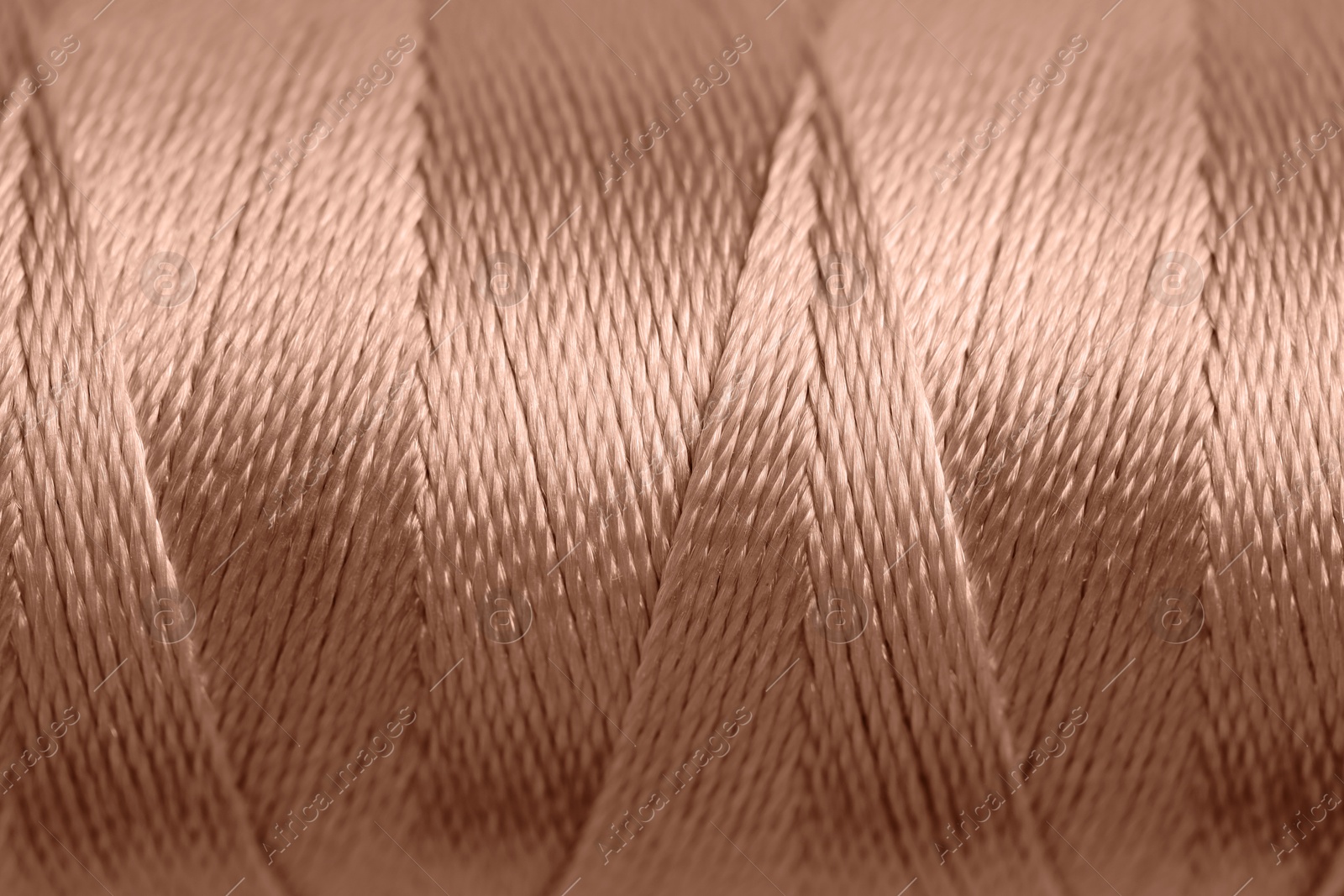 Image of Sewing thread in mocha mousse shade, closeup. Trendy color of 2025 year