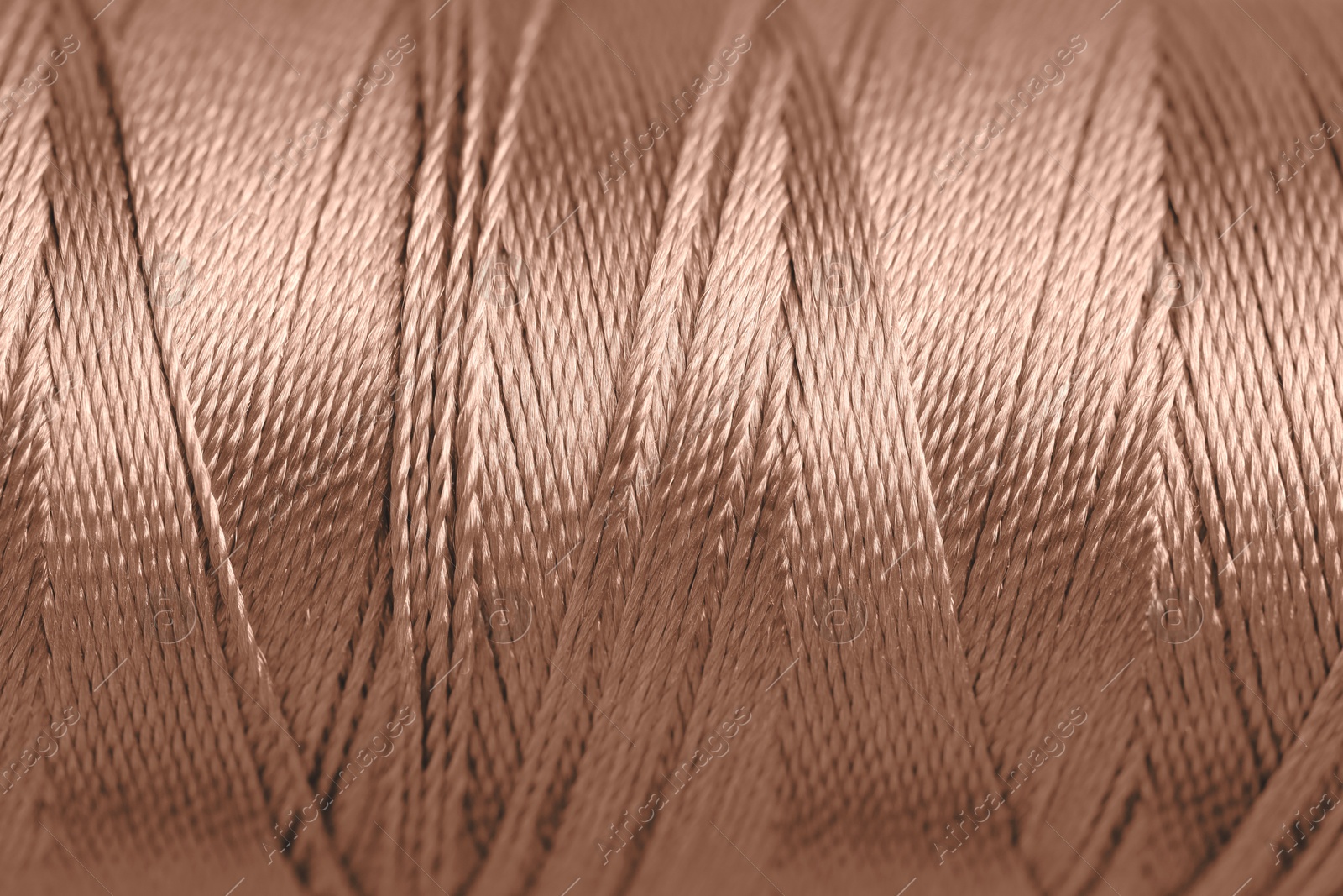 Image of Sewing thread in mocha mousse shade, closeup. Trendy color of 2025 year