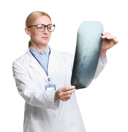 Photo of Doctor examining backbone x-ray on white background