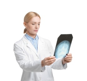 Photo of Doctor examining x-ray image of paranasal sinuses on white background