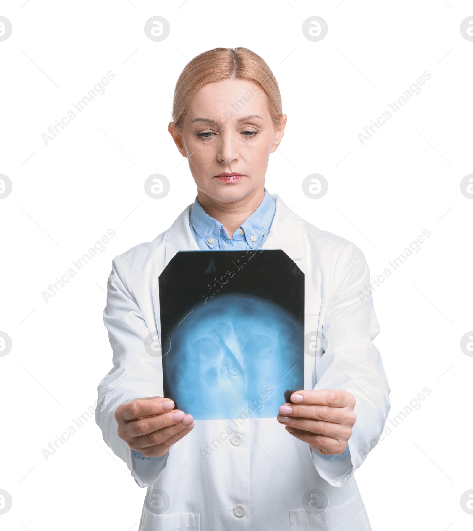 Photo of Doctor examining x-ray image of paranasal sinuses on white background