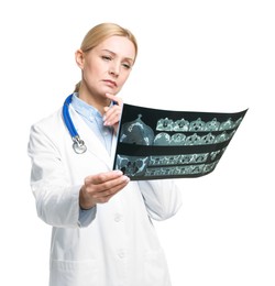 Photo of Doctor examining x-ray image of paranasal sinuses on white background