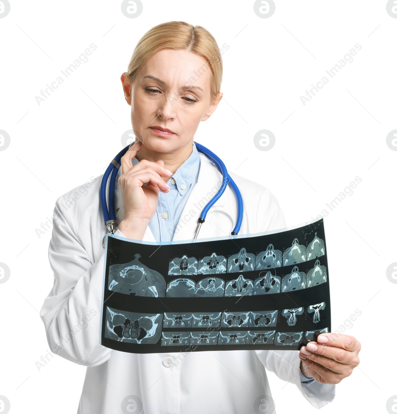 Photo of Doctor examining x-ray image of paranasal sinuses on white background