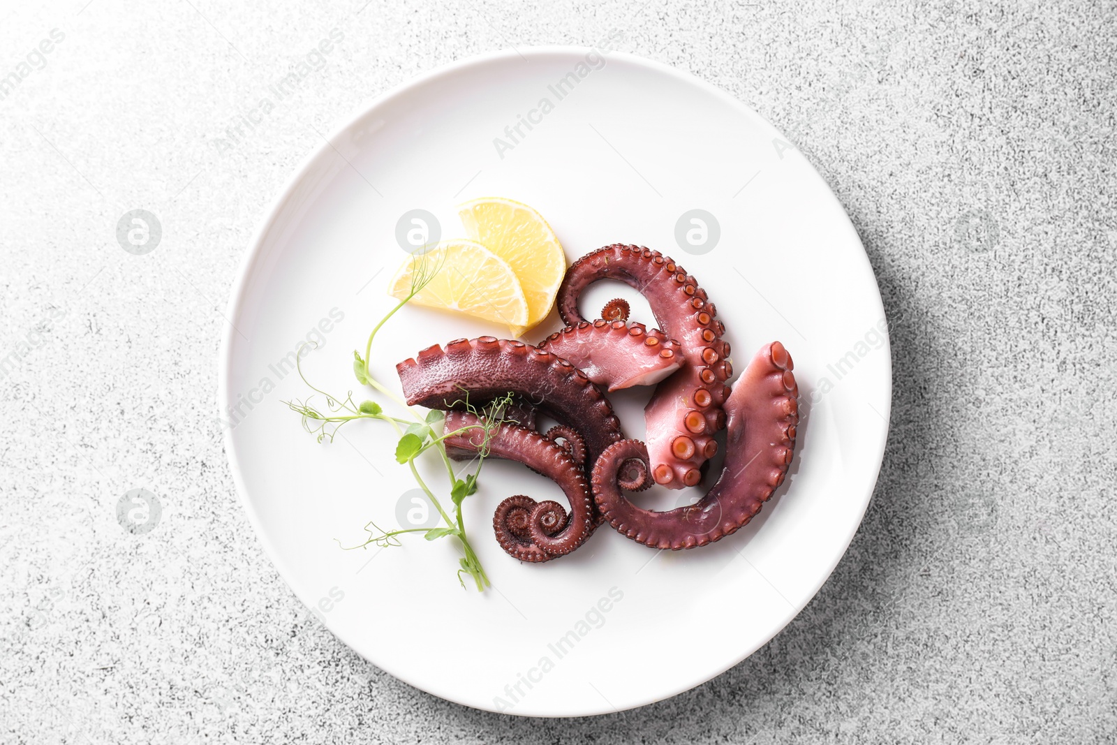 Photo of Appetizing octopus tentacles on grey table, top view