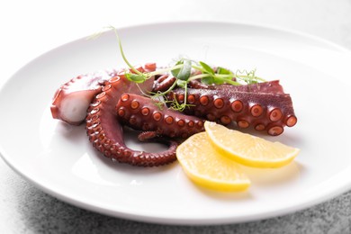 Photo of Appetizing octopus tentacles on grey table, closeup