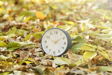 Photo of Autumn time. Alarm clock on fallen leaves