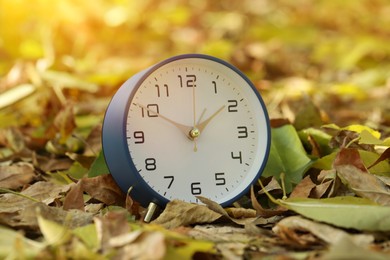 Photo of Autumn time. Alarm clock on fallen leaves, closeup