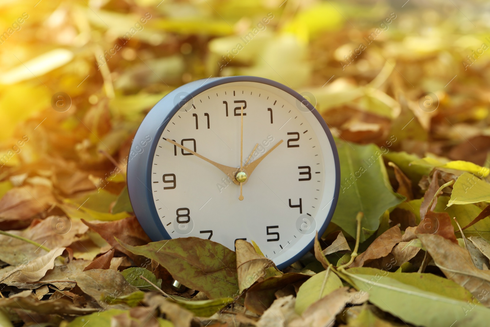 Photo of Autumn time. Alarm clock on fallen leaves, closeup