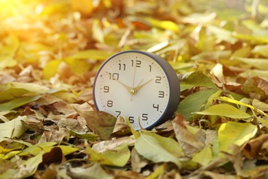 Photo of Autumn time. Alarm clock on fallen leaves, closeup