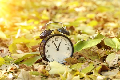 Photo of Autumn time. Alarm clock on fallen leaves