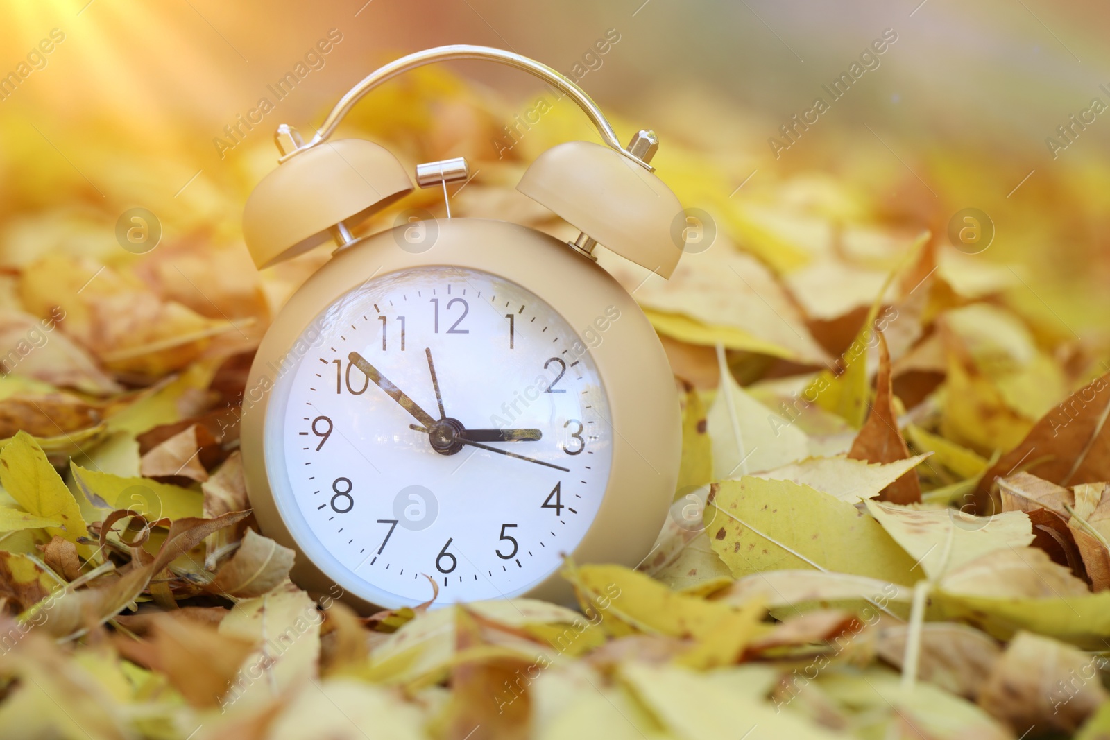 Photo of Autumn time. Alarm clock on fallen leaves, closeup