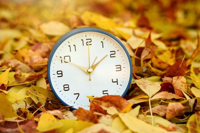 Photo of Autumn time. Alarm clock on fallen leaves, closeup