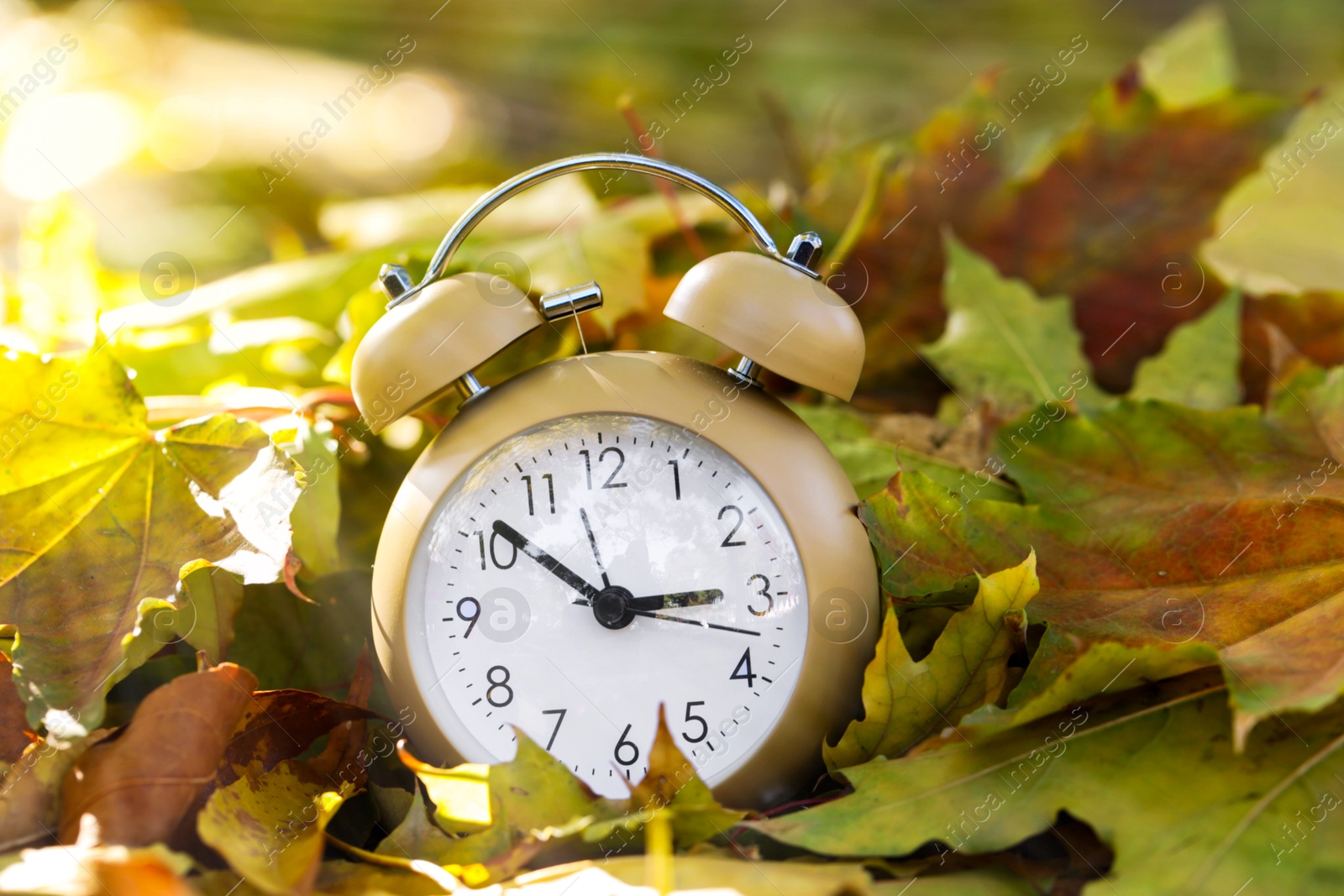 Photo of Autumn time. Alarm clock on fallen leaves, closeup