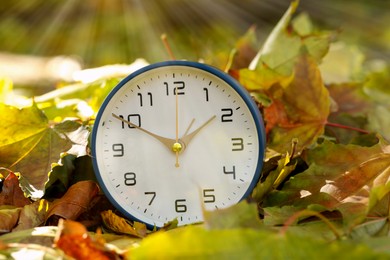 Photo of Autumn time. Alarm clock among fallen leaves, closeup