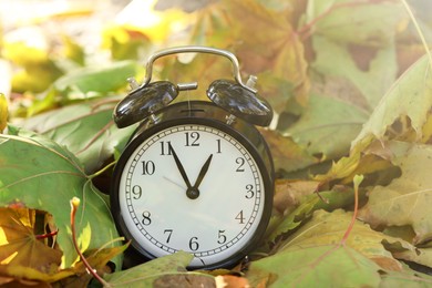 Photo of Autumn time. Alarm clock among fallen leaves, closeup