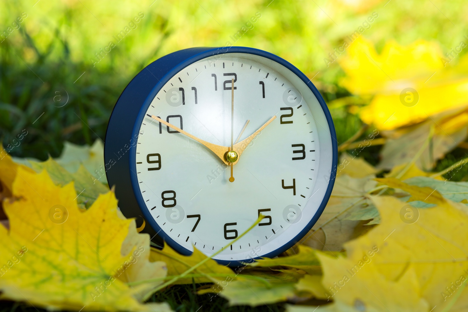 Photo of Autumn time. Alarm clock among fallen leaves, closeup