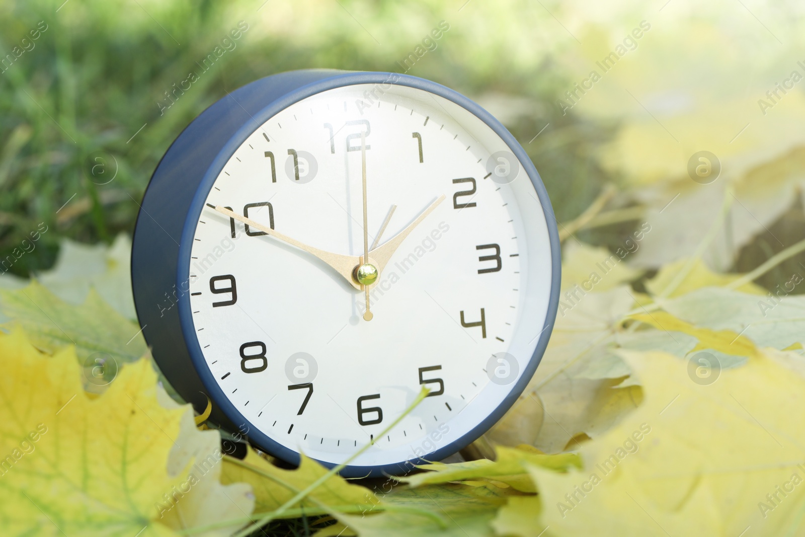 Photo of Autumn time. Alarm clock among fallen leaves, closeup