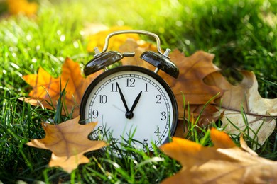 Photo of Autumn time. Alarm clock among fallen leaves on green grass on sunny day, closeup