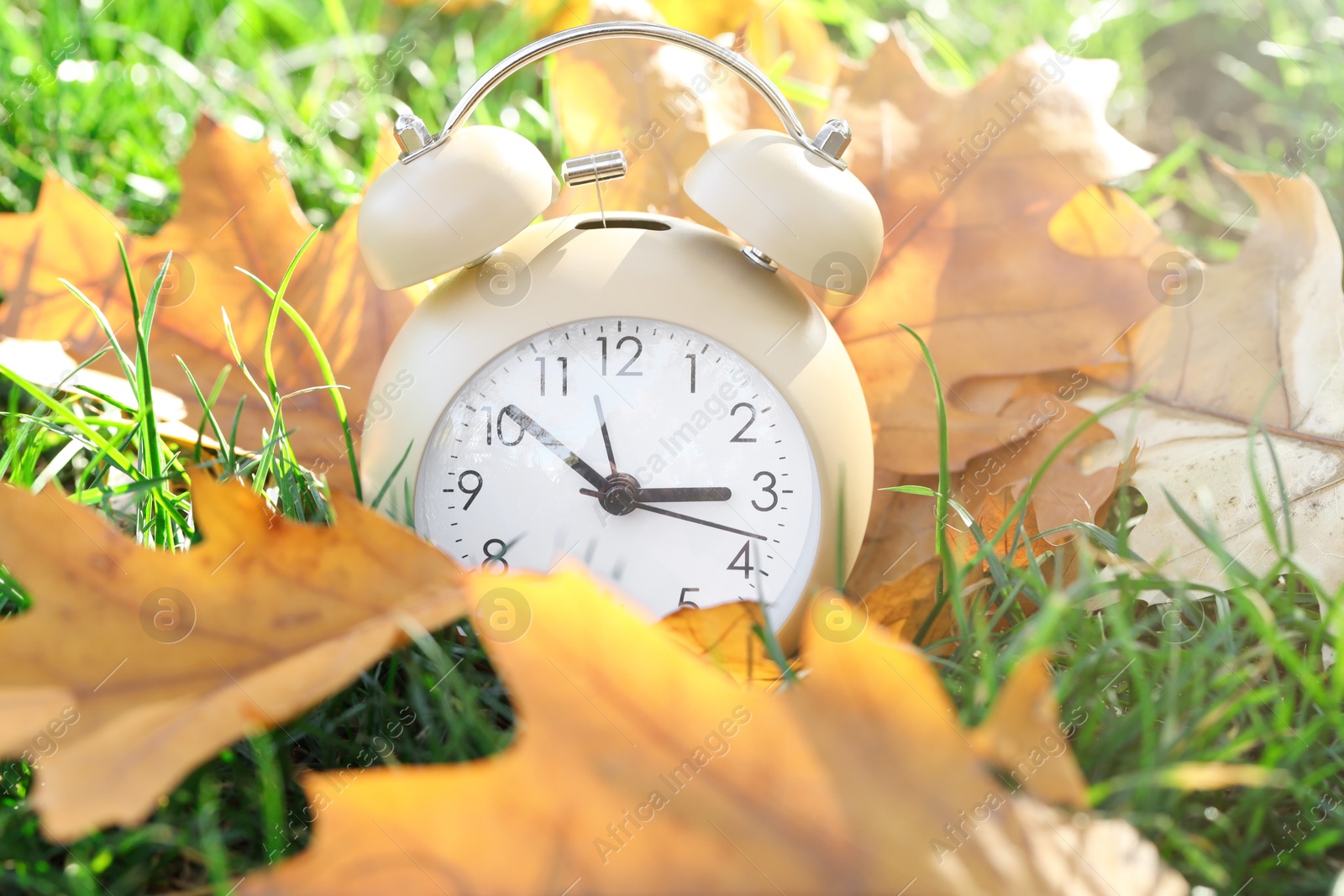 Photo of Autumn time. Alarm clock among fallen leaves on green grass on sunny day, closeup