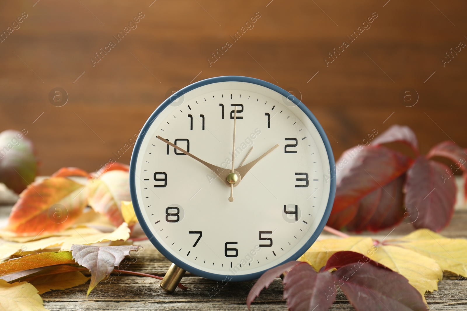 Photo of Autumn time. Alarm clock among leaves on wooden table, closeup