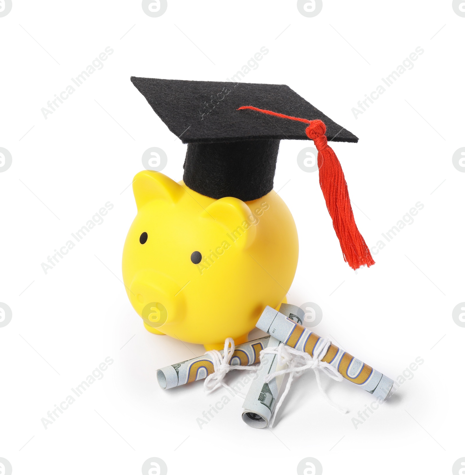 Photo of Piggy bank, graduate hat and dollar banknotes isolated on white. Tuition payment