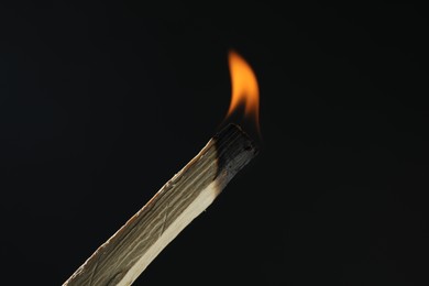 Photo of Burning palo santo stick against black background, closeup