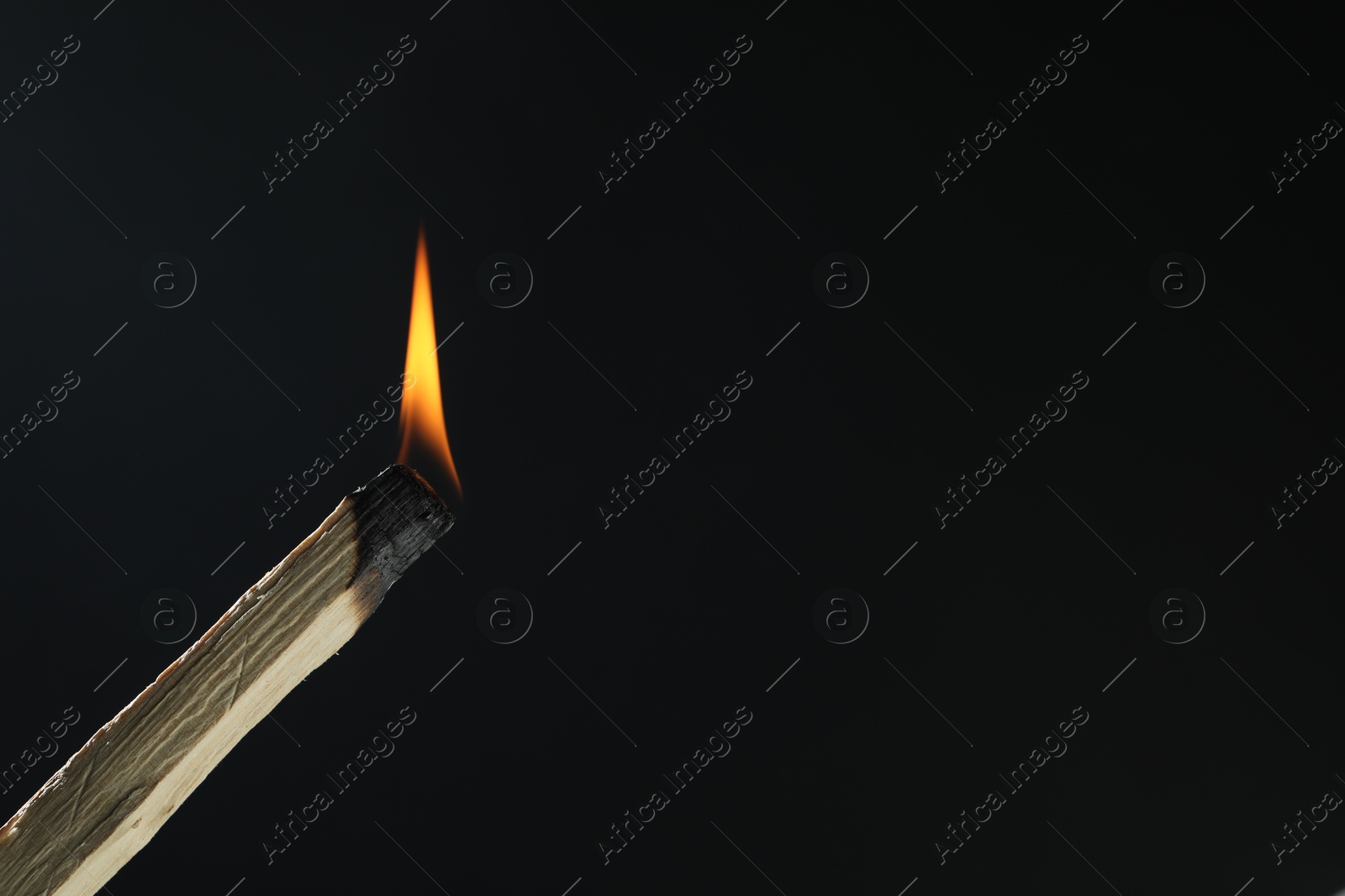 Photo of Burning palo santo stick against black background, closeup. Space for text