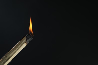 Photo of Burning palo santo stick against black background, closeup. Space for text