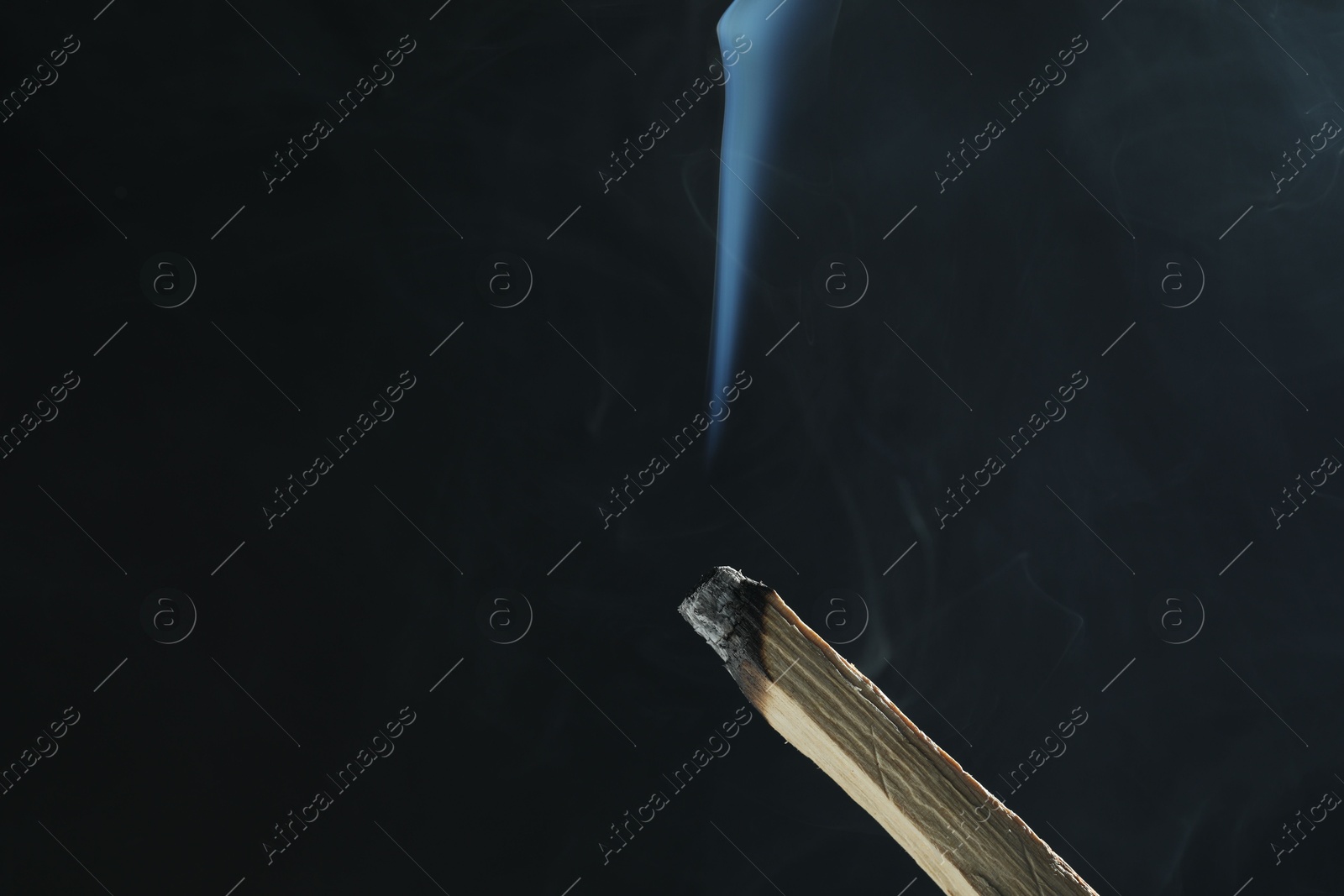 Photo of Smoldering palo santo stick against black background, closeup