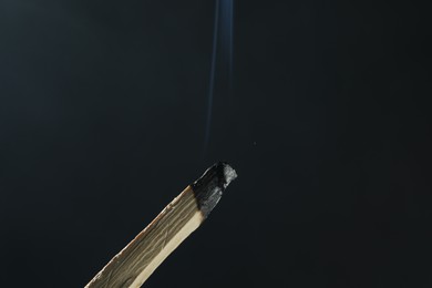 Photo of Smoldering palo santo stick against black background, closeup