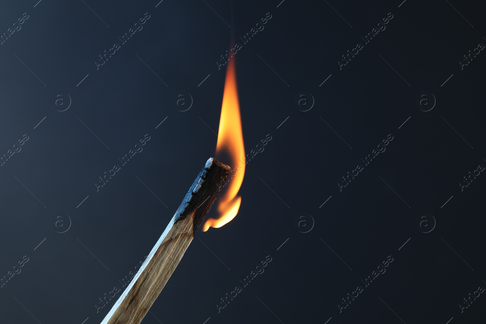 Photo of Burning palo santo stick against grey background, closeup