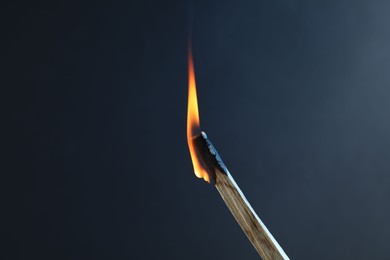 Photo of Burning palo santo stick against grey background, closeup