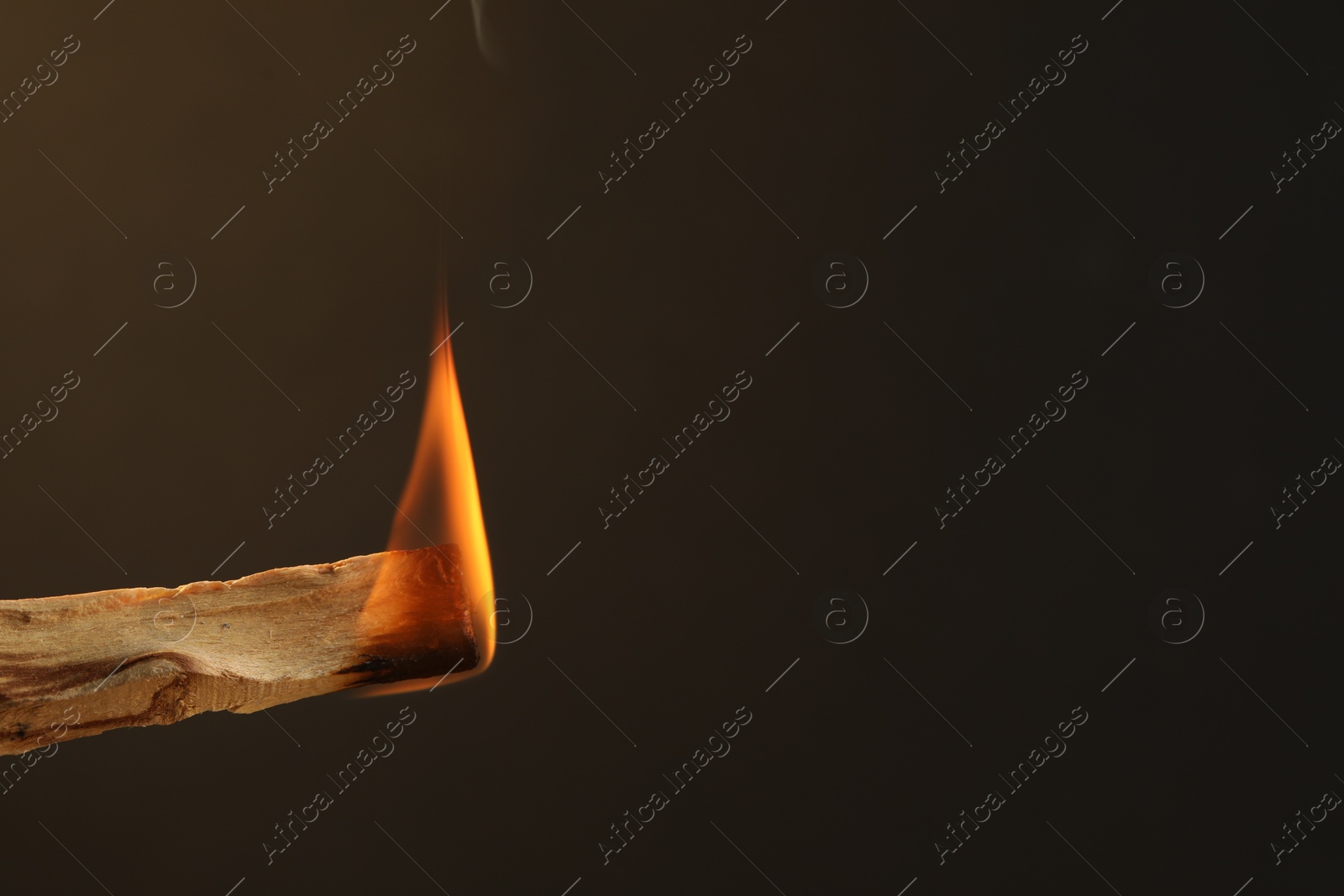 Photo of Burning palo santo stick against dark background, closeup. Space for text