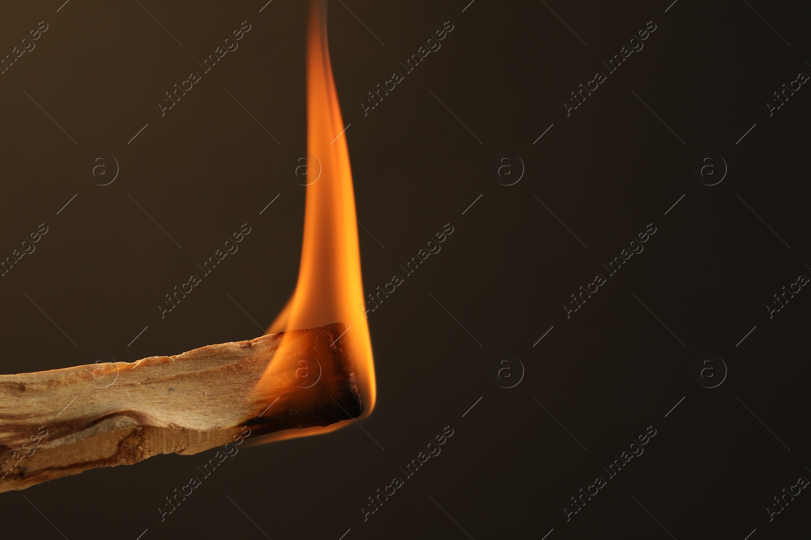 Photo of Burning palo santo stick against dark background, closeup. Space for text