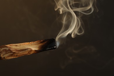 Photo of Smoldering palo santo stick against dark background, closeup