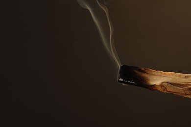 Photo of Smoldering palo santo stick against dark background, closeup. Space for text