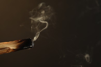 Photo of Smoldering palo santo stick against dark background, closeup. Space for text