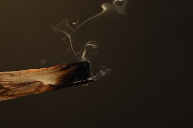 Photo of Smoldering palo santo stick against dark background, closeup. Space for text