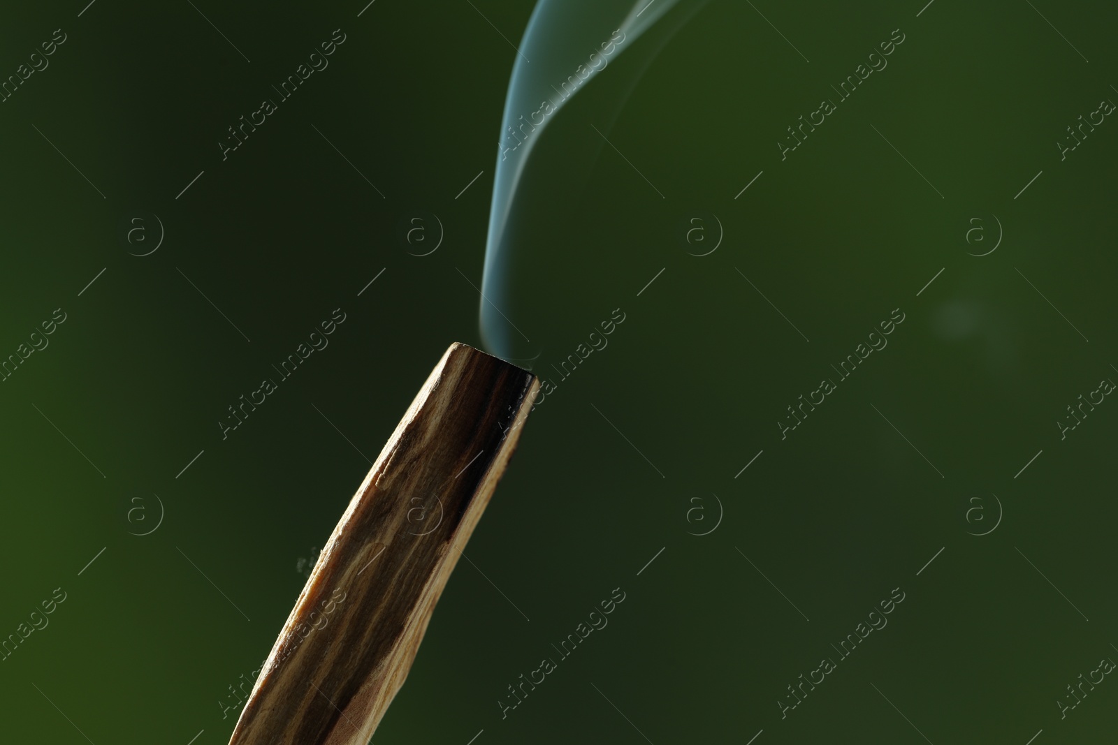 Photo of Smoldering palo santo stick against green background, closeup. Space for text