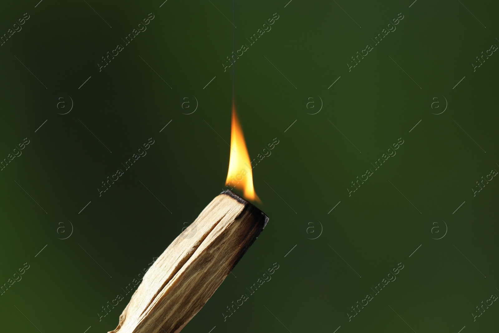 Photo of Burning palo santo stick against green background, closeup. Space for text