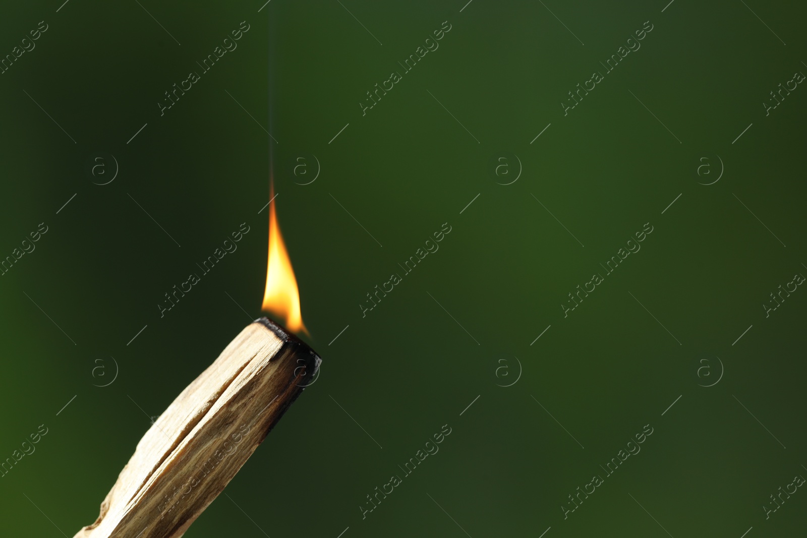 Photo of Burning palo santo stick against green background, closeup. Space for text