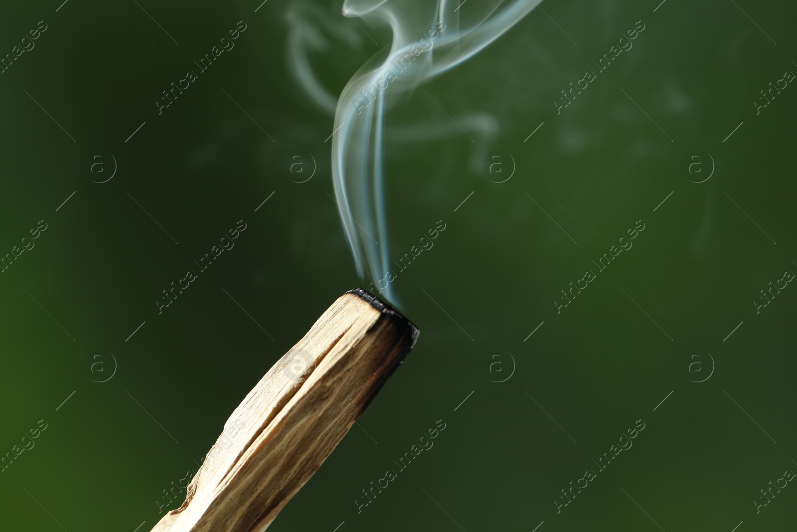 Photo of Smoldering palo santo stick against green background, closeup