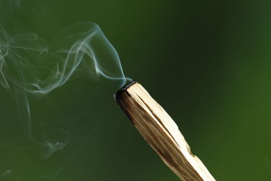 Photo of Smoldering palo santo stick against green background, closeup