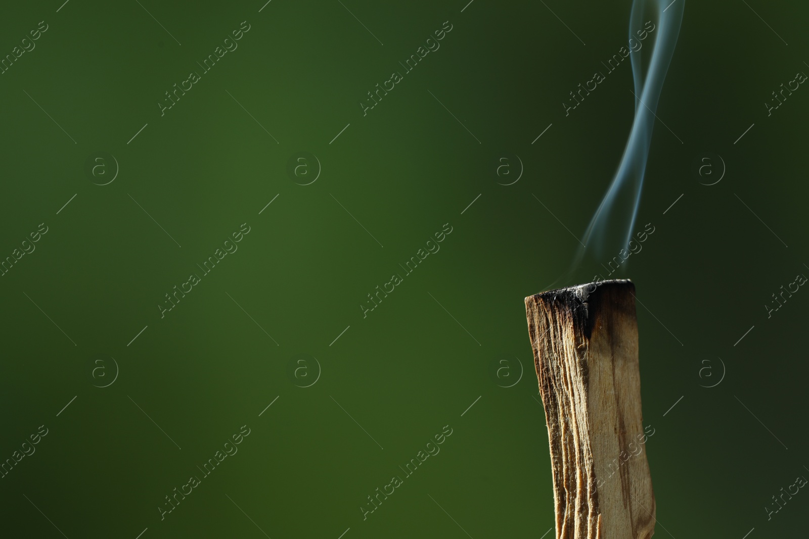 Photo of Smoldering palo santo stick against green background, closeup. Space for text