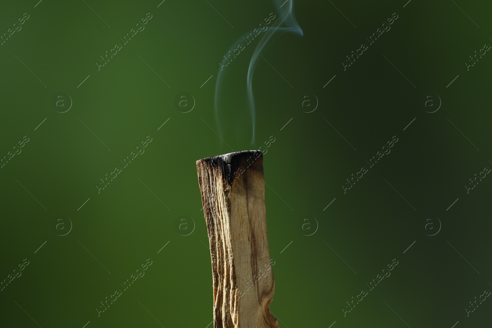 Photo of Smoldering palo santo stick against green background, closeup